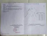 Đất Đẹp – Giá Tốt – Chính Chủ Cần Bán Gấp Tại Xã Vĩnh Tân, Thị Xã Tân Uyên, Bình Dương - Ảnh 5