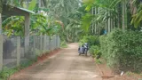 Đất Đẹp – Giá Tốt –Chính Chủ Cần Bán Đất Đường Trần Tôn Thất, Hoài Xuân, Thị Xã Hoài Nhơn, Bình Định - Ảnh 2
