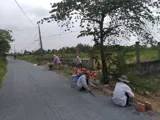 Bán Đất Long Chánh – Gò Công – Diện Tích 828,9M Có 200 Thổ Cư – Hạ Giá Bán Gấp 2,4Tỳ - Ảnh 1