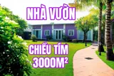 Nhà Vườn Màu Tím – Bình Mỹ, Củ Chi – Không Gian Sống Lý Tưởng - Ảnh 1