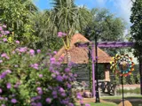 Bình Mỹ – “Nhà Vườn Màu Tím” 3.000M² Ngộp Ngân Hàng – Giảm Sốc 2 Tỷ - Ảnh 3
