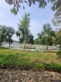 Đất Phân Lô Việt Hưng - 65M2 - View Hồ Công Viên - Ô Tô Tải Tránh - Giá Đầu Tư 0372311369 - Ảnh 2