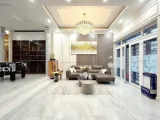 Bán Nhà 6 Tầng Full Nội Thất Mới - Hxh Đ.phạm Viết Chánh, P.nguyễn Cư Trinh, Quận 1 - Ngang Đẹp - Ảnh 5