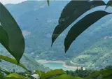 Đất Bán Tại Đt 433, 1,1 Tỷ, 1031 M2, Huyện Đà Bắc, Hòa Bình - Ảnh 3