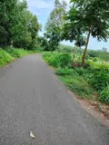 Đất Đẹp - Đầu Tư Sinh Lời - Bán Gấp Lô Đất Tiềm Năng Tại Suối Rao, Châu Đức, Bà Rịa Vũng Tàu - Ảnh 5