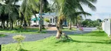 Nhà Vườn 6.000M² – “Thiên Đường Xanh” Giữa Lòng Củ Chi - Chỉ 2.5Tr/m² – Giá Quá Hời - Ảnh 1