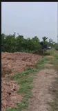 Đất Đẹp- Giá Tốt Chính Chủ Cần Bán Lô Đất Tiềm Năng Tại Huyện Quốc Oai, Tp Hà Nội - Ảnh 3