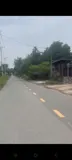 Đất Mặt Tiền Bến Súc – 2.000M² – 1.000M² Thổ Cư – Giá Quá Thơm - Ảnh 1