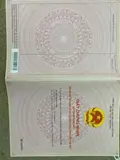 Chính Chủ Bán 150M2 Đất Odt Sổ Hồng Ngay Đường Tránh Mặt Tiền Ql1a-Kỳ Anh-Hà Tĩnh - Ảnh 2