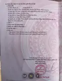 Anh Việt Kiều (Ko Phải Anh Hoàng Kiều Nha ) - Ảnh 5
