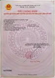 Bán Nhà Đất Kdc Tân An (Phú An), Thủ Dầu Một, Bình Dương – Chỉ 2 Tỷ Nhỉnh - Ảnh 5