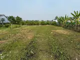 Chủ Bán Thửa Đất Lúa 877M9m2 (Khu Vực Cho Lên Thổ - Ảnh 3