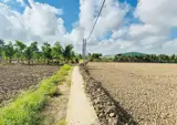 Chủ Bán Thửa Đất Lúa 877M9m2 (Khu Vực Cho Lên Thổ - Ảnh 5