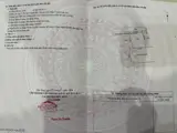 Đất 2 Mặt Tiền - Đầu Tư Là Sinh Lời - Chính Chủ Bán 2 Lô Đất Xã Mỹ Thạnh Bắc, Đức Huệ, Long An - Ảnh 2
