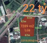 Bán Gấp Lô Đất Lúa Chuyển Thổ Đường Vành Đai Tân An Giá 22 Tỷ - Ảnh 1