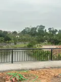 Bán Đất Khu Hòa Lạc, 100M2 Full Thổ Cư,3,2 Tỷ - Ảnh 4