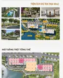 Căn Hộ 3Pn Mường Thanh Phú Hữu 81M² Chỉ Từ 3,6 Tỷ – Hiếm Hàng Khu Đông - Ảnh 3