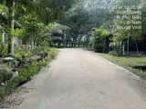 Đất Phước Vĩnh Phú Giáo, Ngân Hàng Thanh Lý Đất Sẵn Thổ, Dt 3553.7M2, Ngang 58M, Ô Tô Tiếp Cận - Ảnh 4