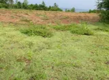 Bán Đất Biển Diện Tích Lớn – Cơ Hội Đầu Tư Hiếm - Ảnh 1