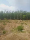 Đất Đẹp Giá Tốt – Chính Chủ Cần Bán 3 Lô Đất Liền Kề Thôn 7, Xã Long Bình, H. Phú Riềng, Bình Phước - Ảnh 2
