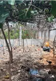 Đất Đẹp – Giá Tốt – Chính Chủ Cần Bán Gấp Tại Xã Hòa Thắng, Huyện Bắc Bình, Bình Thuận - Ảnh 4