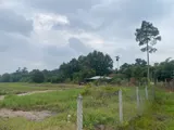 Siêu Hot – Bán Gấp 6.800M² Đất Mặt Tiền Hồ Văn Tắng – Tân Phú Trung - Ảnh 4