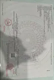 Cần Bán Lô Đất Khu Tái Định Cư Trung Tâm Định Hiệp - Ảnh 1