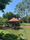 Biệt Thự Nhà Vườn 2000M2 Hiếm Có – Bảo Đài, Bắc Ninh (Lục Nam, Bắc Giang Cũ) (Chính Chủ) - Ảnh 5