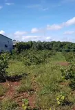 Chính Chủ Bán Lô Đất Đẹp Tại Xã Bình Sơn , Huyện Phú Riềng T. Bình Phước - Ảnh 5