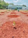 Chính Chủ Bán Lô Đất Đẹp Tại Xã Bình Sơn , Huyện Phú Riềng T. Bình Phước - Ảnh 3