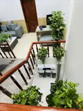 Nhà 3 Tầng Mới – Trung Tâm Nam Việt Á – Ở Ngay Hoặc Khai Thác Cho Thuê - ảnh 2
