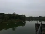 Bán Lô Đất 100M2 Ngay Ngã Tư Quốc Lộ 21 Đại Lộ Thăng Long, Cạnh Đh Quốc Gia, Khu Cn Cao Hòa Lạc - Ảnh 4
