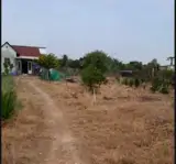 Bán Đất Thổ Vườn Đường Lộ Dừa Giá 5,3 Tỷ - Ảnh 3