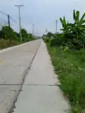Bán Đất Thổ Vườn Đường Lộ Dừa Giá 5,3 Tỷ - Ảnh 4
