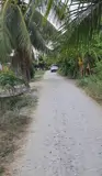 Chính Chủ Bán Đất Thổ Cư Gần Lộ Dừa – Vĩnh Công, Châu Thành, Long An - Ảnh 2
