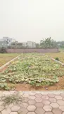 Gia Đình Cần Bán Thửa Đất 100M2 Cạnh Hồ Sinh Thái Thoáng Mát - Ảnh 2