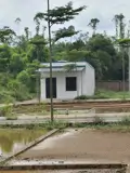 Đất Đẹp- Giá Tốt Chính Chủ Cần Bán Nhanh Lô Đất Tiềm Năng Tại Huyện Tam Nông, Phú Thọ - Ảnh 5