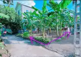 50M Lô Góc Đan Phượng . Hà Nội. Giá Đầu Tư - Ảnh 2