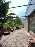Đất Đẹp – Giá Tốt – Chính Chủ Cần Bán Gấp Đất Tại Phường 1, Thành Phố Cà Mau, Cà Mau - Ảnh 3