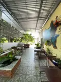Đất Đẹp – Giá Tốt – Chính Chủ Cần Bán Gấp Đất Tại Phường 1, Thành Phố Cà Mau, Cà Mau - Ảnh 4