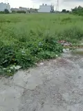 Chính Chủ Cần Bán Gấp Đất Thổ Cư - Diện Tích Lớn Mặt Tiền Huyện Cần Đước, Long An - Ảnh 4