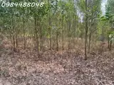 Bán Đất Vườn 8600M2 Tại Xuân Thành, Đồng Nai. Giá Chỉ 3.2 Tỷ. Lh: 0984488048 - Ảnh 1