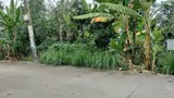 Đất Đẹp - Đầu Tư Sinh Lời - Chính Chủ Bán 2 Lô Đất Tại Xã Châu Lăng, Tri Tôn, An Giang - Ảnh 4