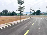 Đhqg Không Phải Là Tiện Ích, Mà Là Nguồn Tiền. Mỗi Mùa Nhập Học Là Một Làn Sóng Thuê Trọ. Ai Có Đất - Ảnh 5