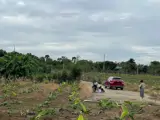 Cơ Hội Đầu Tư Siêu Hấp Dẫn - Cần Bán Gấp Đất – Giá Ngộp Hiếm Có Tại Sông Ray, Cẩm Mỹ - Ảnh 2
