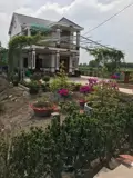Siêu Phẩm Đầu Tư - Đất Vườn 1Ha - 2.000 Cây Mai - Lợi Nhuận Hấp Dẫn Xã Tân Thành, Thủ Thừa, Long An - Ảnh 2