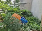 Bán Lô Đất Cực Đẹp,Shr Đường Nhựa 13M,Giáp Công Viên,Gần Vincom 550 - Ảnh 2