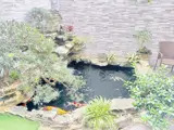 Hàng Hiếm Biệt Thự Vườn Đào - Tinh Hoa Giới Thượng Lưu - Tây Hồ - Ảnh 1