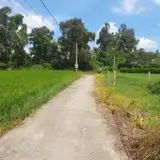Bán Lô Đất Lúa Xã Tân Trụ Giá 5 Tỷ - Ảnh 2
