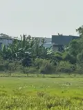 Bán Đất Đẹp – View Cánh Đồng Quan Châu, Hòa Xuân – Đà Nẵng - Ảnh 2